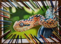 /album/moja-tvorba/drawing-color-hyperrealism-snake-franciak-jpg/